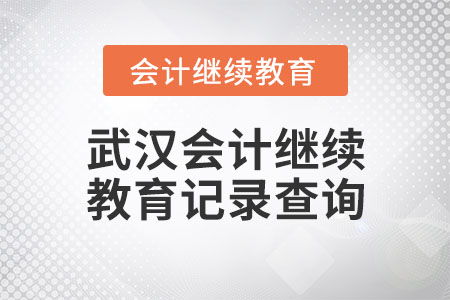 武汉会计继续教育记录查询全攻略 教育咨询与管理实务指南